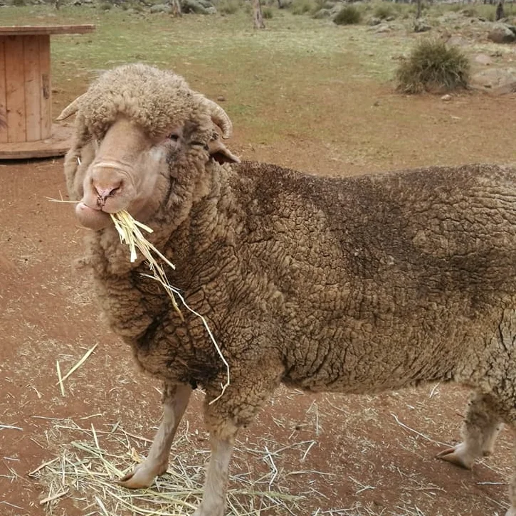 It’s great when a plan comes together