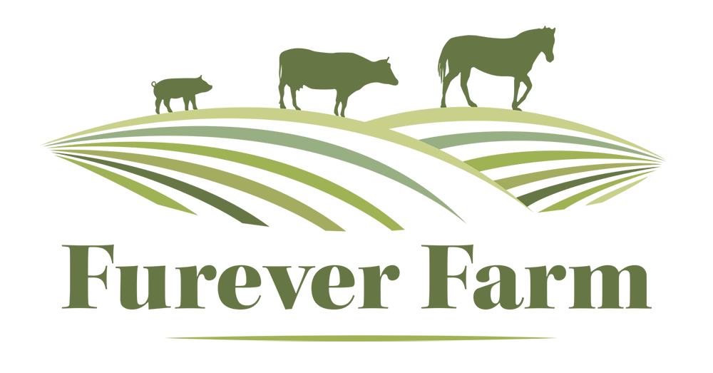 Furever Farm