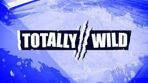 Have you seen us on TV or heard us on the radio recently?