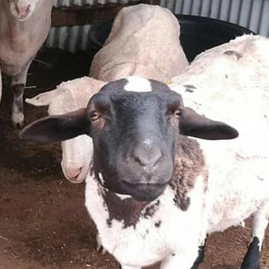 Fundraising for the Family