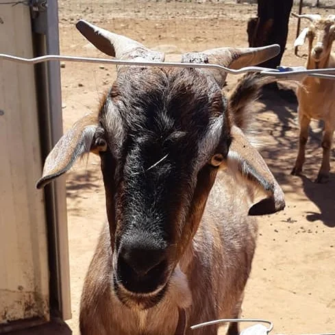 Let's dispel the myth