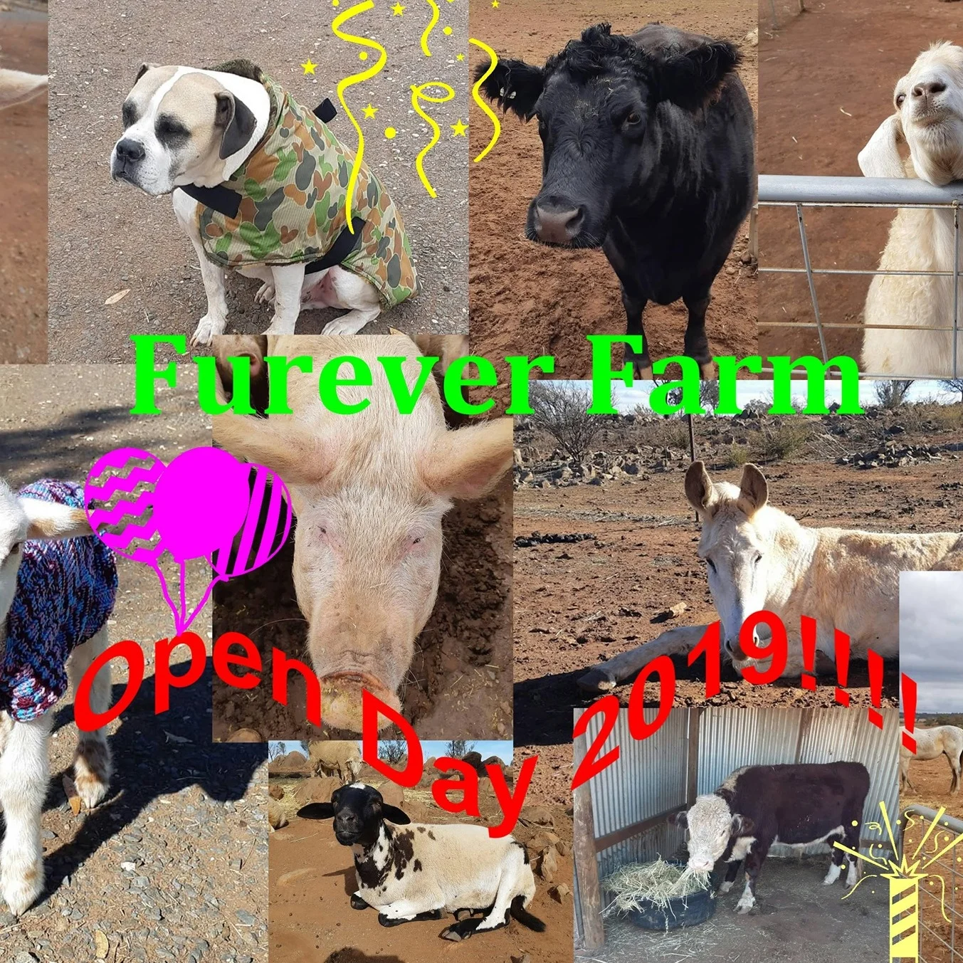 Furever Farm Open Day 2019!