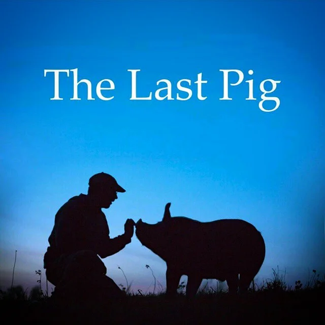 The Last Pig