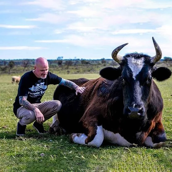 Is there anybody out there?