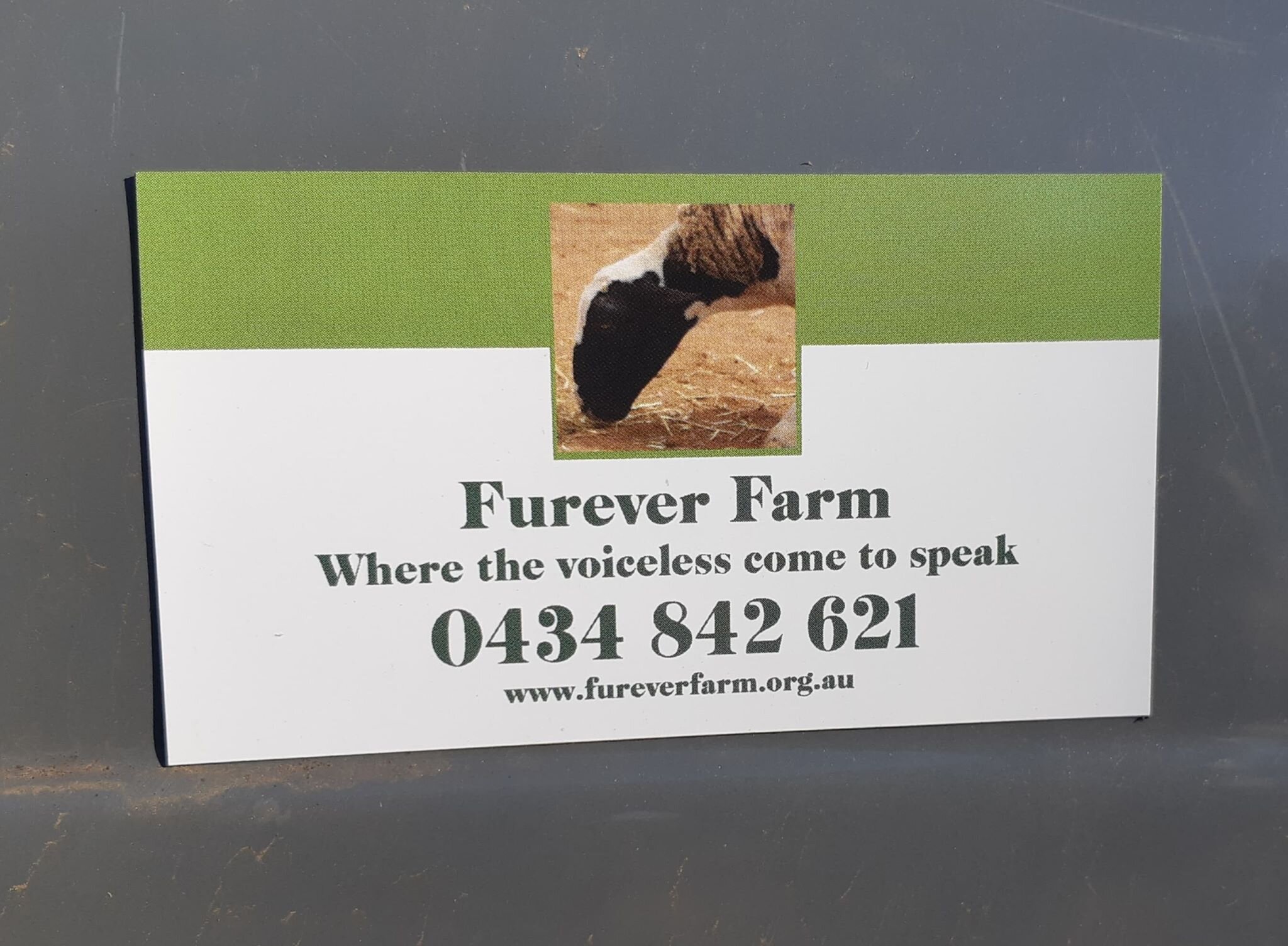 furever farm magnet.jpg