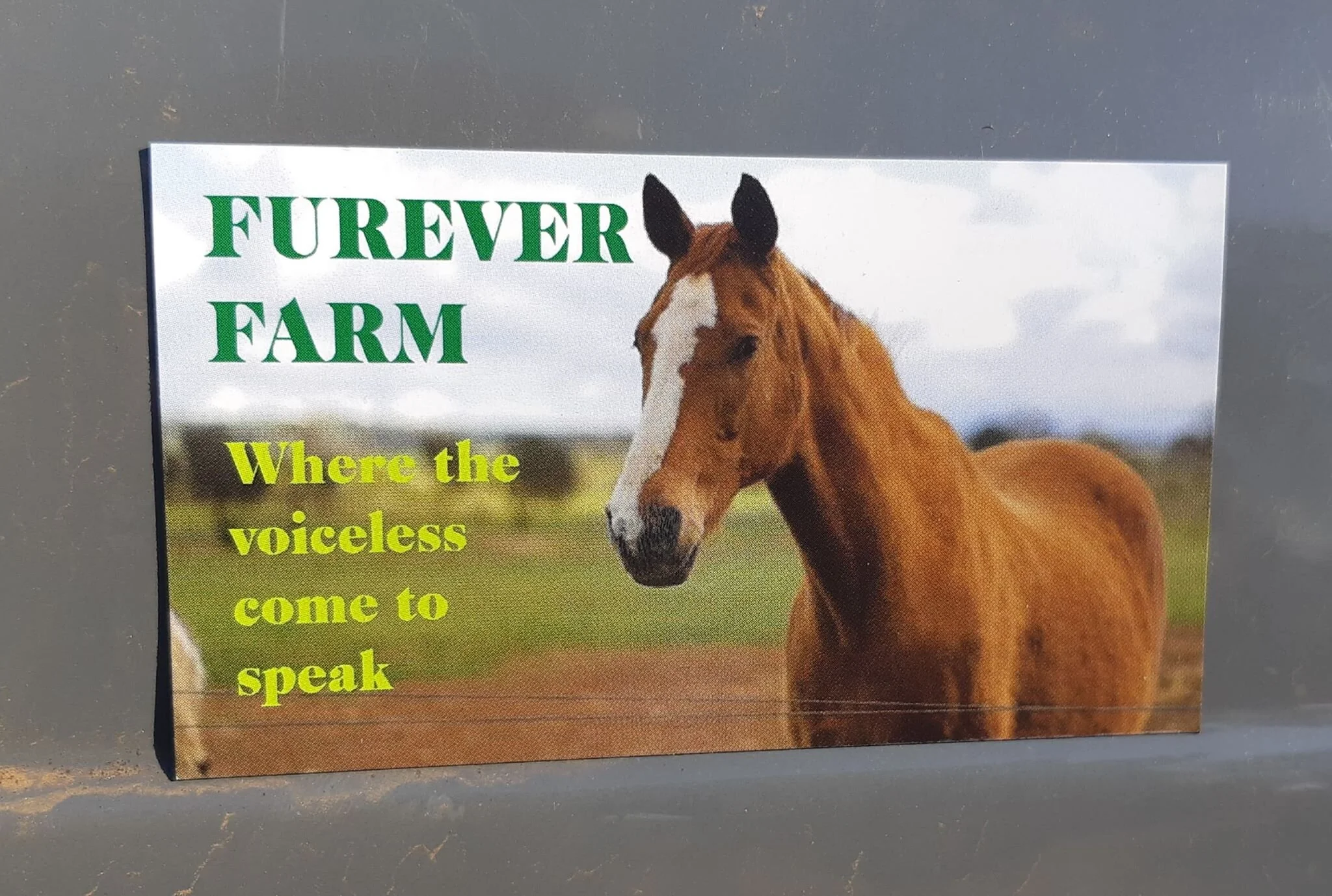 nebbie magnet.jpg