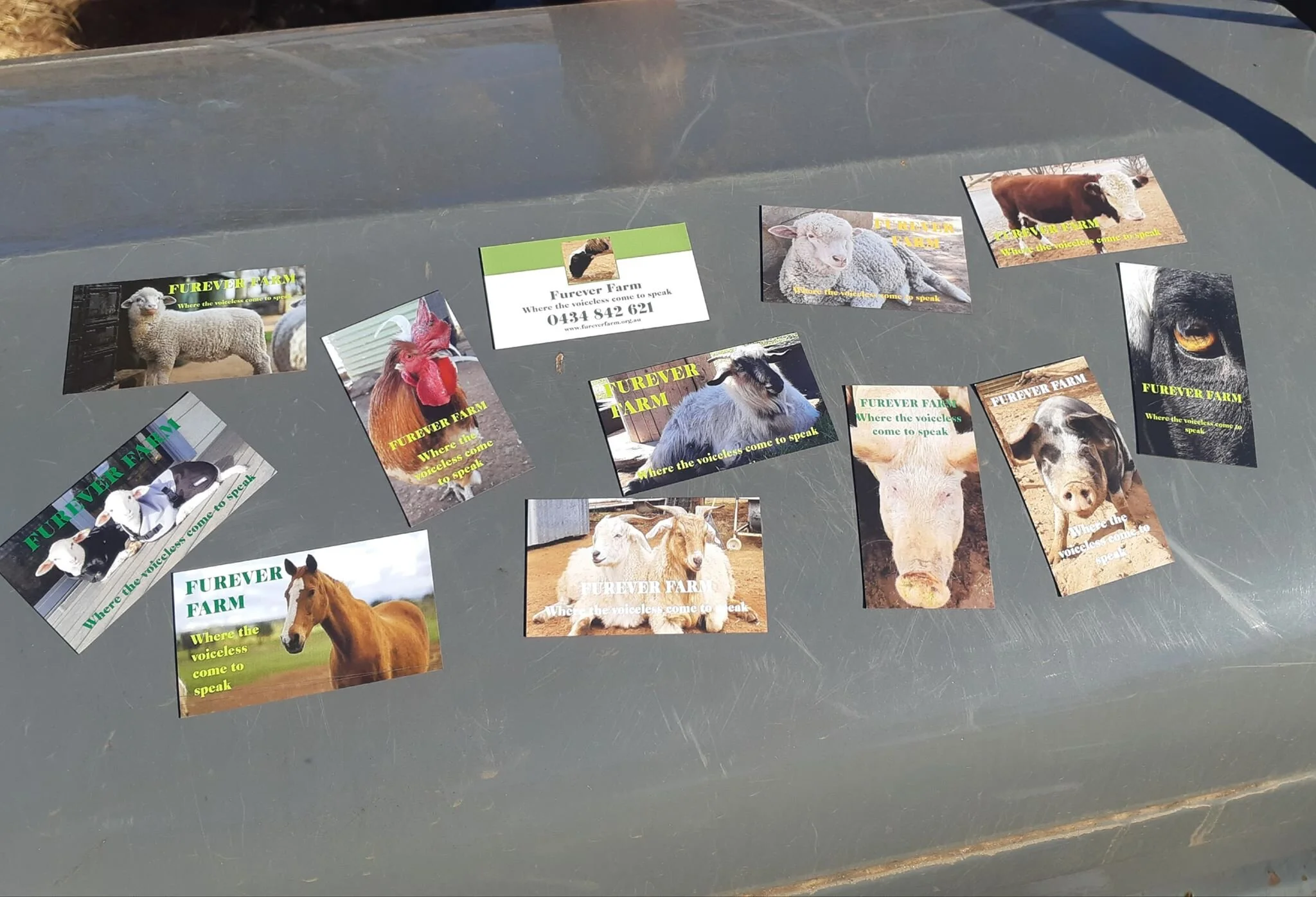 new magnet set.jpg