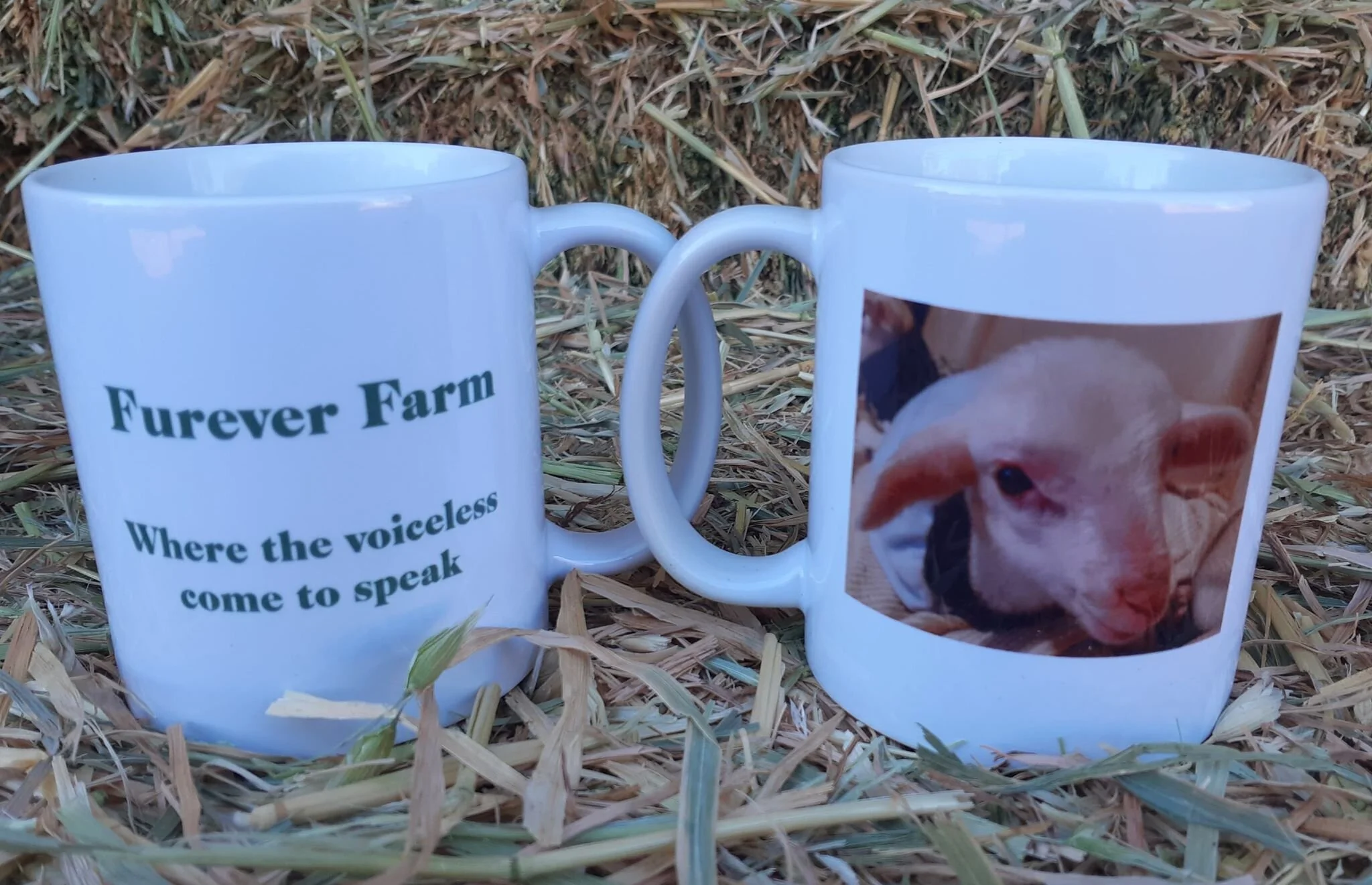 captain mug.jpg