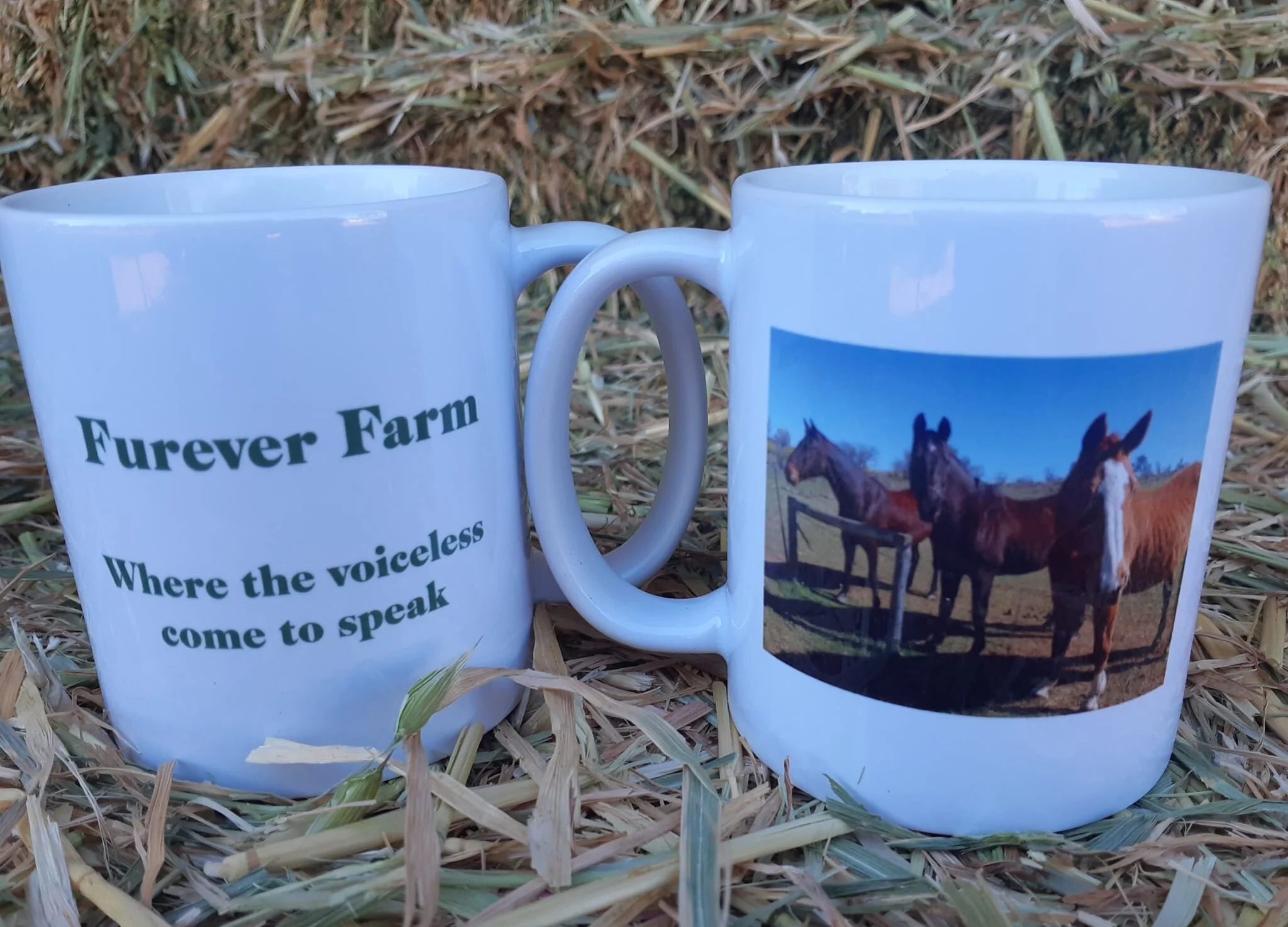 horses mug.jpg