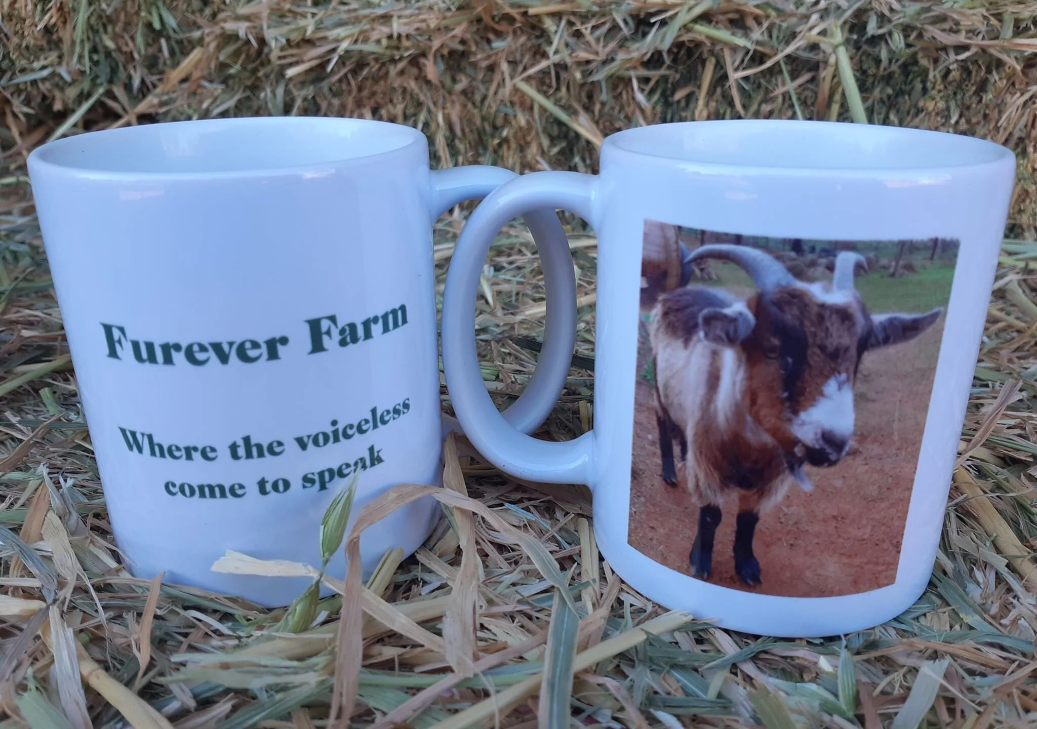 otis mug.jpg