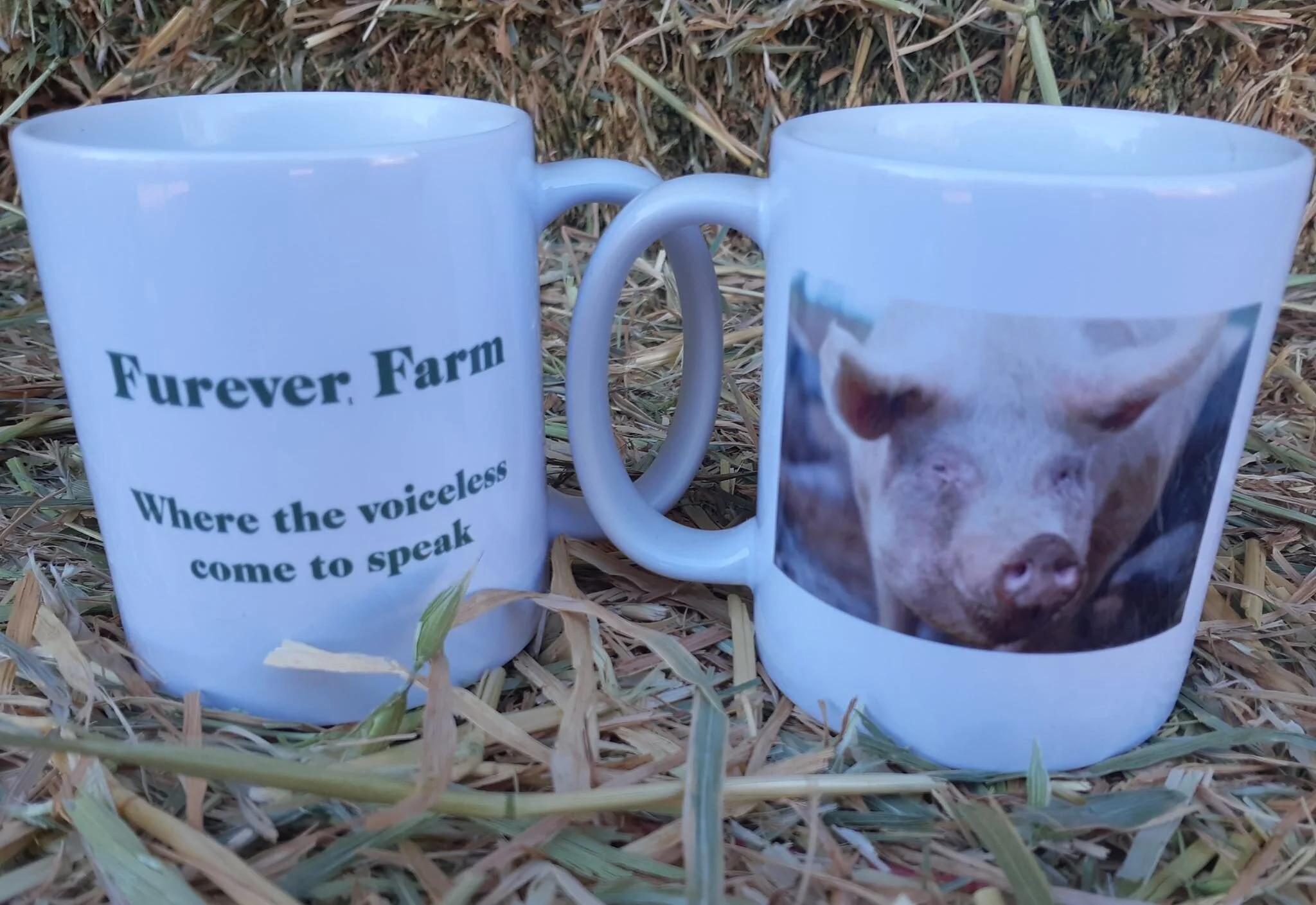 tuscadero mug.jpg