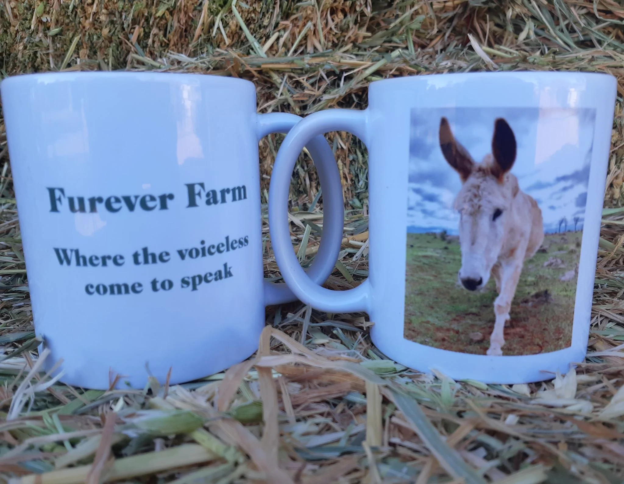 Furever Farm Mug