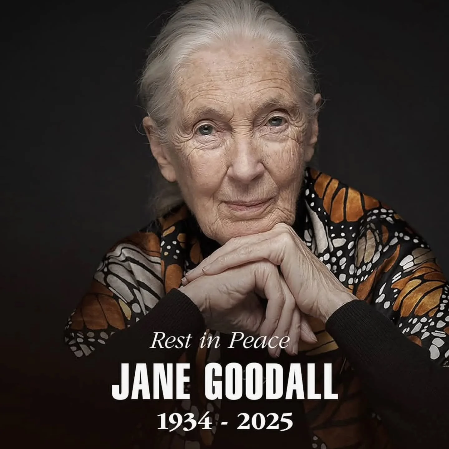 Today, let us reflect and remember with appreciation, as we honour the brilliant life of Dr Jane Goodall.

Jane Goodall's dedication to animals and the planet leaves an unforgettable and scientific mark on our world. May her legacy continue to inspir