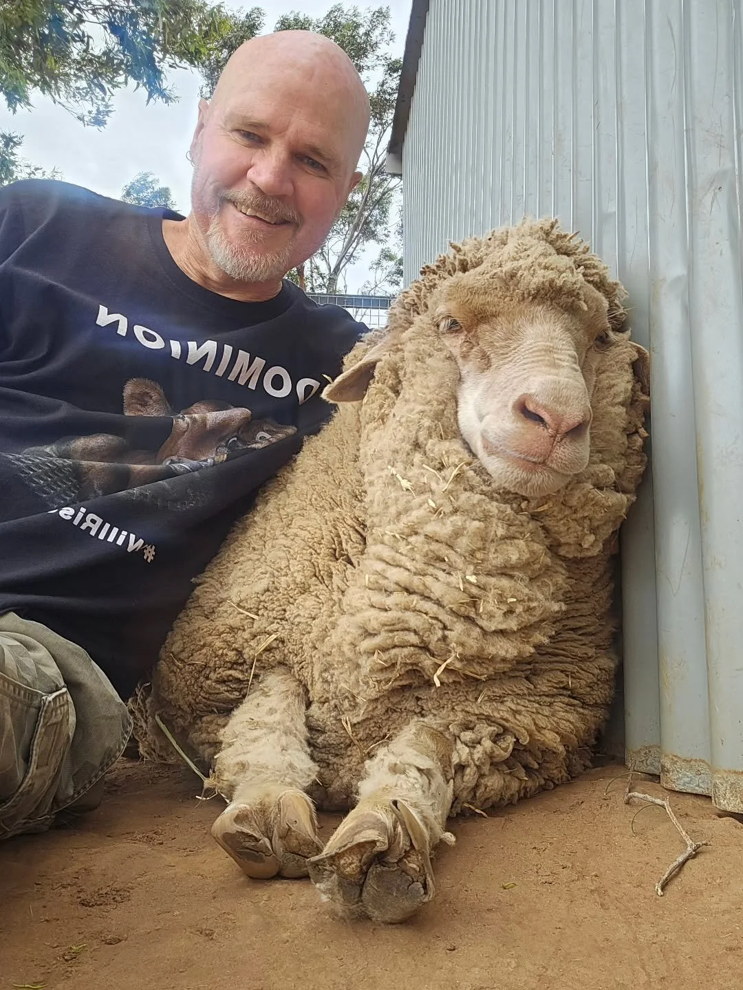 Right by the side of the woolly loved one. 🥰

Alongside of our much adored Scarlet. Quite simply an example of beauty and kindness. Compassion comes easy to animals. It's usually humans who have a hard time with what is such a simple cognitive and e