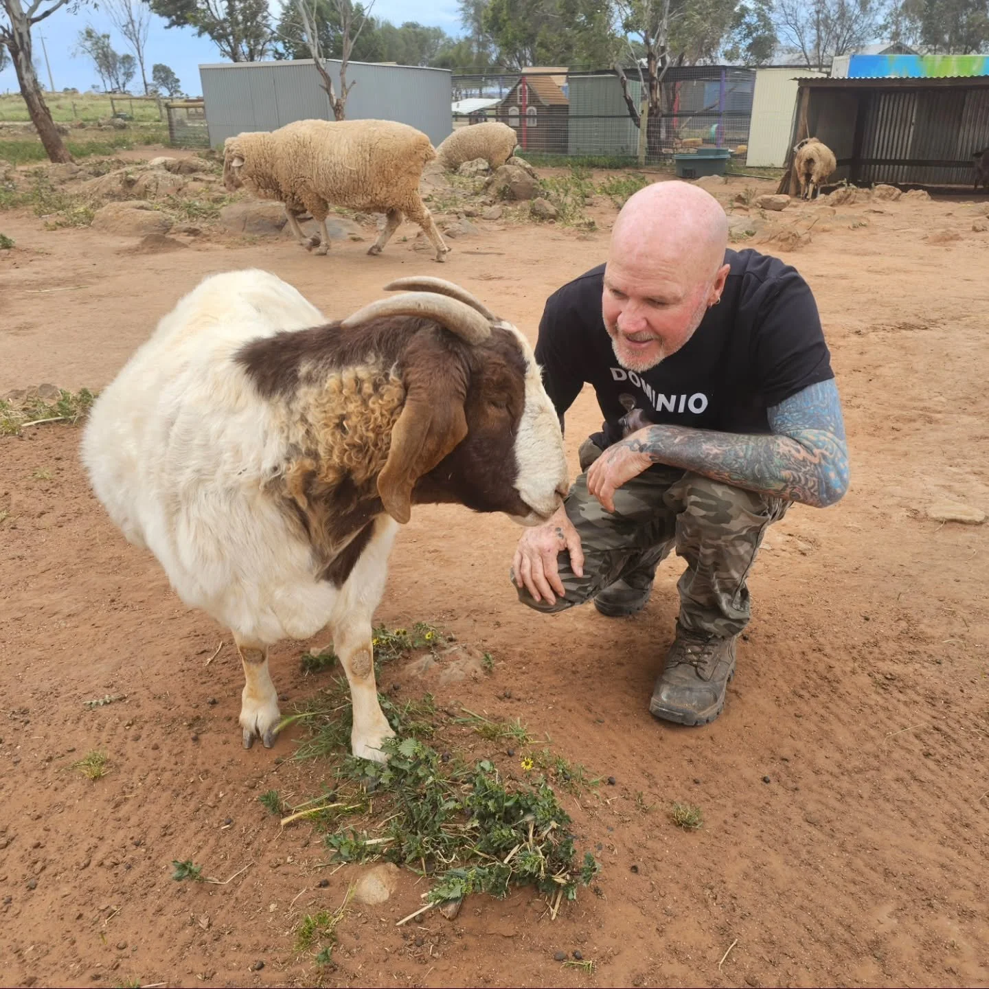 Every opportunity is taken to speak to this special girl.

Blindness need not mean alone. For the senses that remain collectively enhance the life and ability of those with vacant eyes. 

Betty knows nothing but blindness. Cast aside and unwanted aft