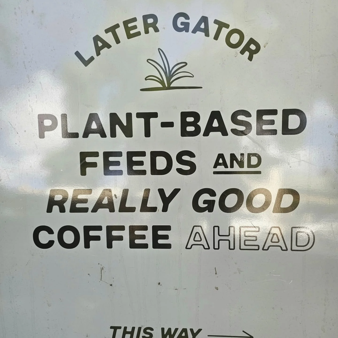 Wonderful people. Wonderful sales. Wonderful atmosphere. Wonderful food!!!

The Gator Club threw up a great birthday bash, and we can only thank Chloe, founder of Later Gator, for the invite to help celebrate.

We are so thrilled to have friends such