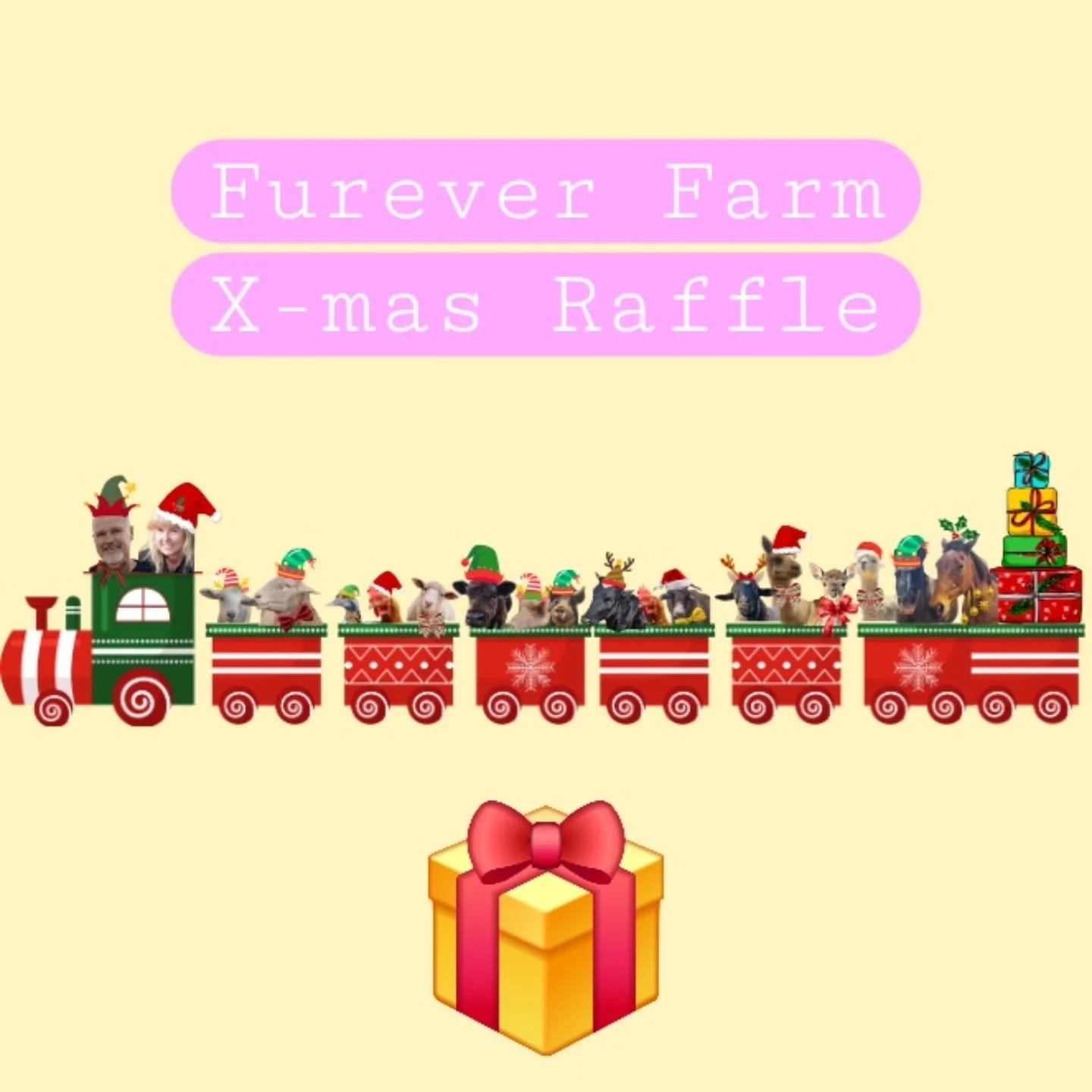 ALL ABOARD!

Jump on the Furever Farm Christmas Raffle Train! Next stop....the winners circle!

Christmas is just around the corner and we have some prizes that will get you sorted. Whether it be for yourself or to gift a loved one., we can take the 