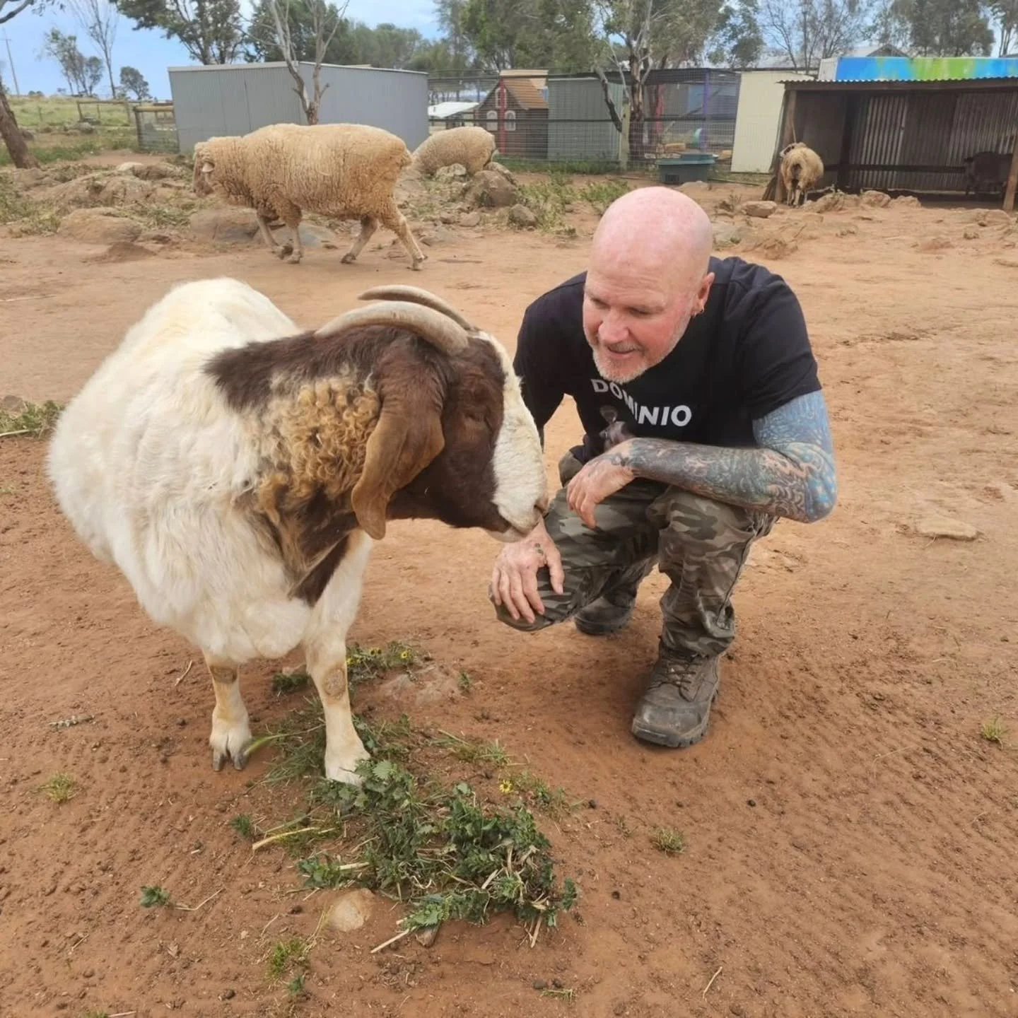 Don't forget to keep up to date with our latest blogs.

Visit our website to browse, seek adoptions, link to raffles and events, or just rejoice at the animal pics!

Link in our bio!

Website kindly constructed and moderated by Nicki at Amplify Impac