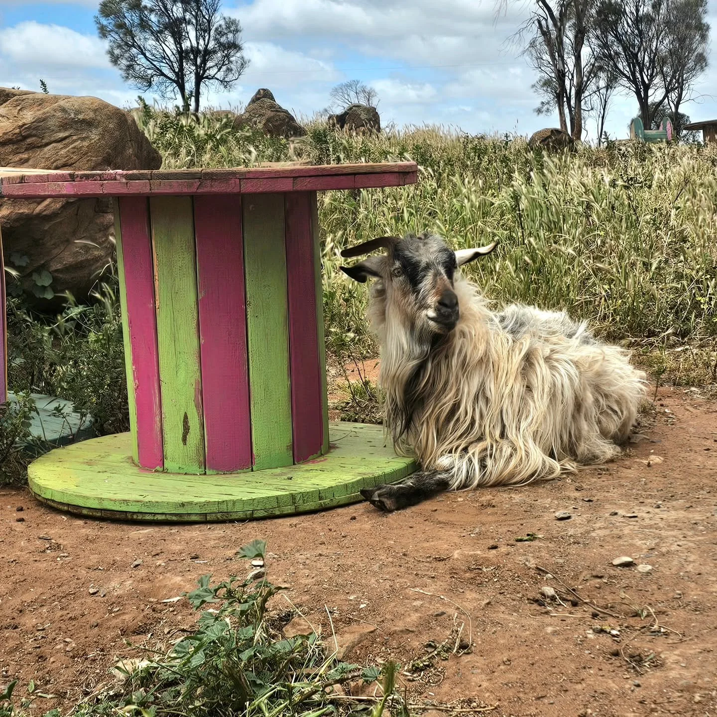 She's got the wisdom to go with the age.

Yes. Age is the greatest asset. Too many think they know the lay of the land, but they haven't even lived!

Unlike dear Nat. At her stage of life she has seen a thing or two. Knowledge is the real spice of li