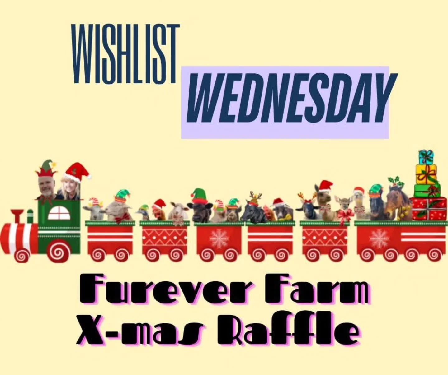 This Wishlist Wednesday you can help both the animals and the sanctuary.

Incorporating this day with our annual Christmas Raffle, we ask passionately for you to help us sell this out! By purchasing your tickets, sharing the event, and simply liking 