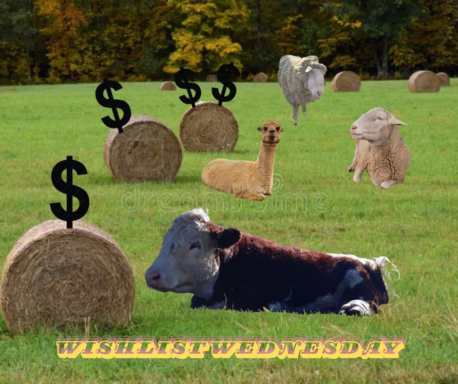 This Wishlist Wednesday we are REALLY asking for your help

We really don't need to say that hay is the lifeblood to the animals in the sanctuary. Earlier in the year we were able to secure enough hay to last until October. We managed to stretch this