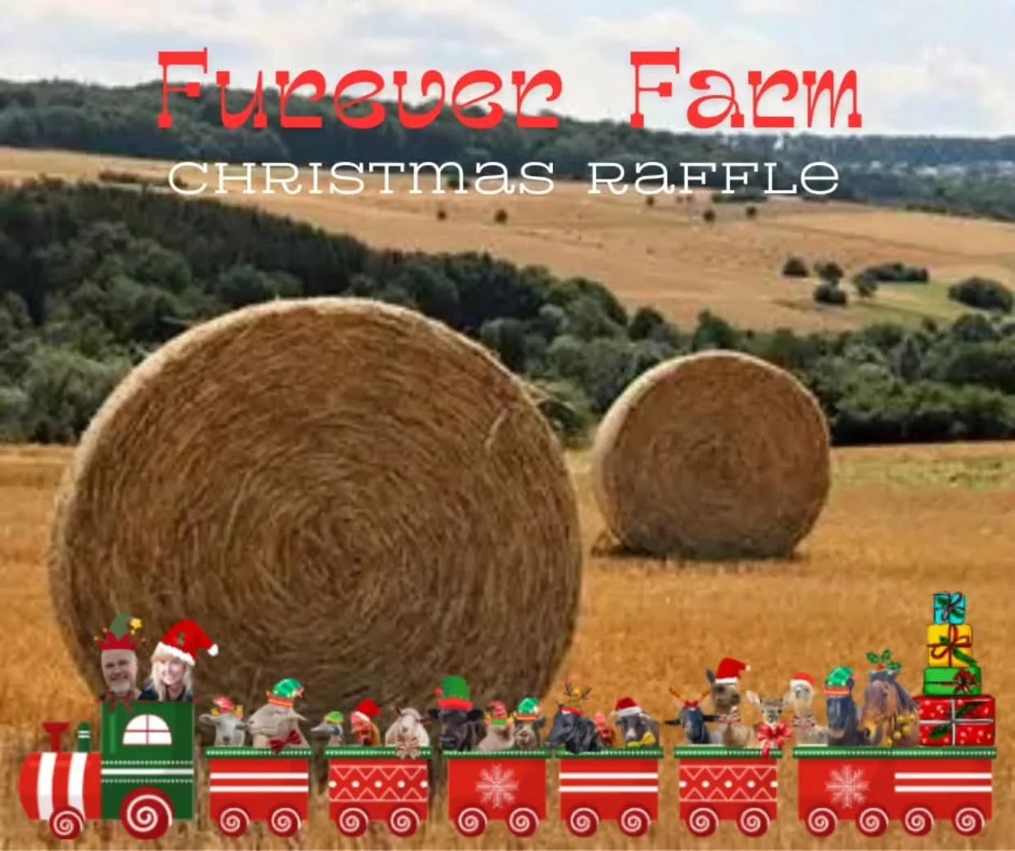 We think we can....we think we can....we think we can....

Furever Farm is currently holding it's annual Christmas Raffle. With some fantastic prizes, you simply have to be in it to win it!

The successful selling of all tickets will see a massive he