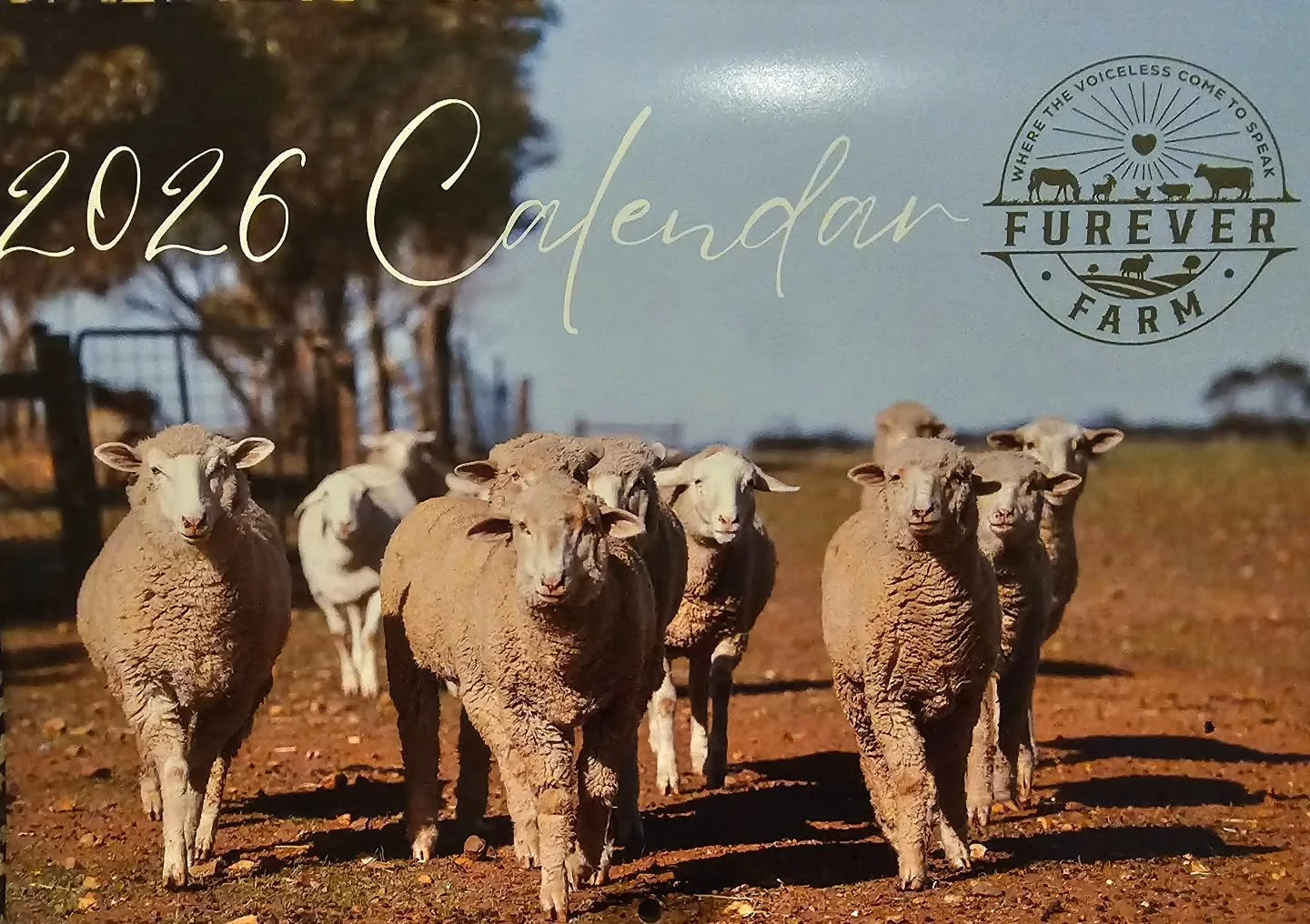 They're back by popular demand. A second run of the 2026 Furever Farm Calendar!

Our first run sold out so quickly. We thank those who purchased theirs, and love the fact that a bit of Furever Farm magic will be in households across the state and cou