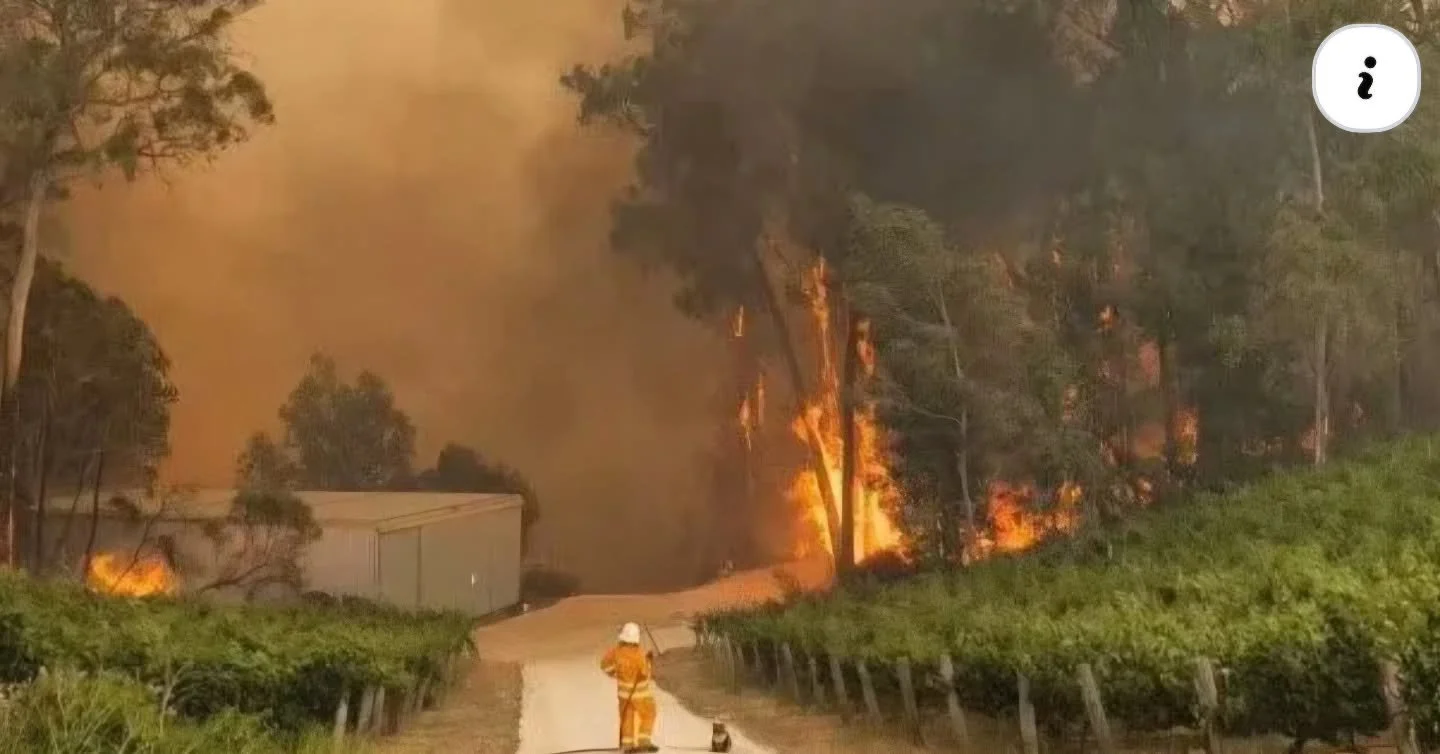 You can see our latest blogs on our fantastic website, designed by Amplify Impact Designs (need a site? look them up!!)

This month sees some remembrance, and sadly some reflection on a blog that should never need writing. 

Delve into this blog via 