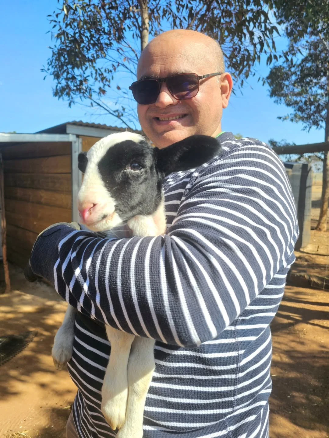 &quot;Good morning everyone. I got cuddles!&quot; - Aish. 💚

It was team family member, Jignesh, who got the distinct honours this morning. We didn't hear any objections.. from either! 💕

❤️ FUREVER FARM - Where the voiceless come to speak ❤️ 

#ai