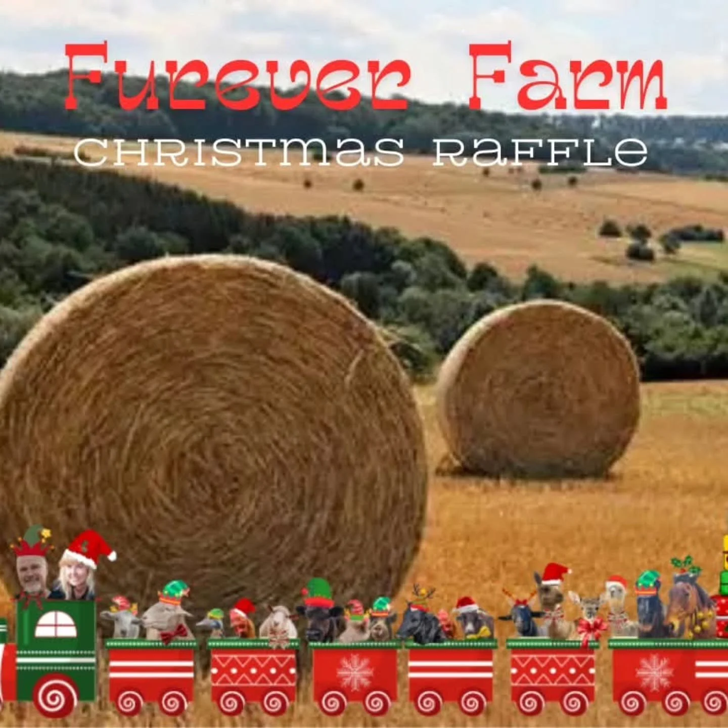 Help us bring this kindness train home!

Oh my! Only 3 DAYS TO GO...and WE NEED YOUR HELP! Ticket sales have slowed dramatically! We need to get the message out! 

Have you shared the Furever Farm Christmas Raffle? We ask you, please share and share 