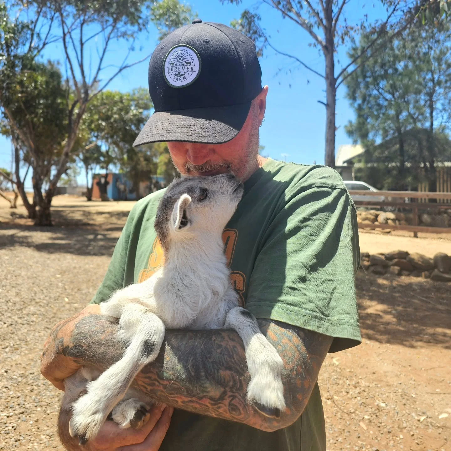 The art of rescue is twofold. 

Most importantly, the saving of animals who would otherwise likely perish, providing them sanctuary, warmth and affection is paramount. But, amongst the sadness that rescuers see and experience there are highlights tha