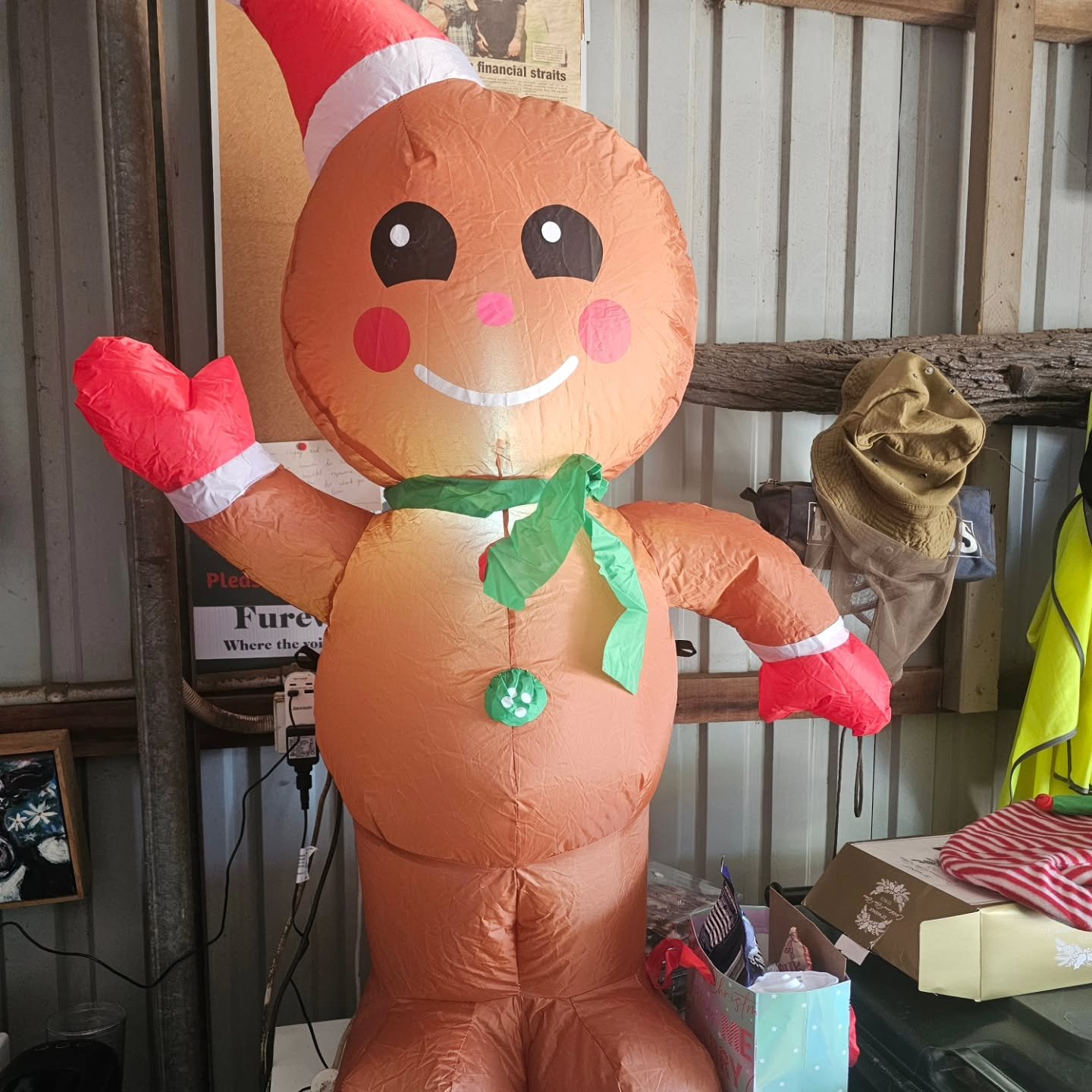 An array of scrumptious vegan food, smiling happy faces, friendly chats, Christmas music, wacky hats, bonbons, feeding babies and visiting the animals with cheer.

Another Christmas at Furever Farm!

Today, animals were celebrated in the true meaning