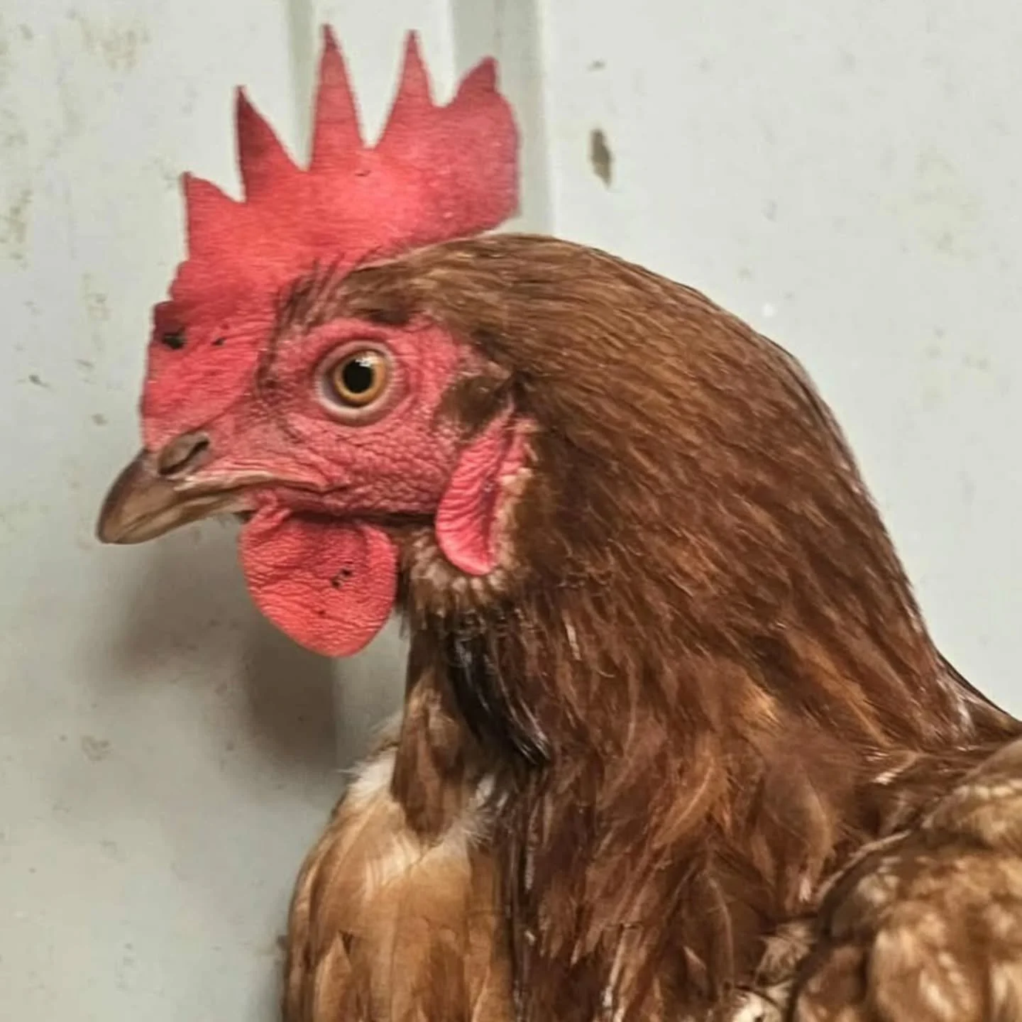 The greatest teachers are noble. Gentle and kind in their manner, with the dedication to spread awareness. No forced theory. Just a genuine edict to see those around walk away slightly wiser than when they came.

They are normal individuals. They run