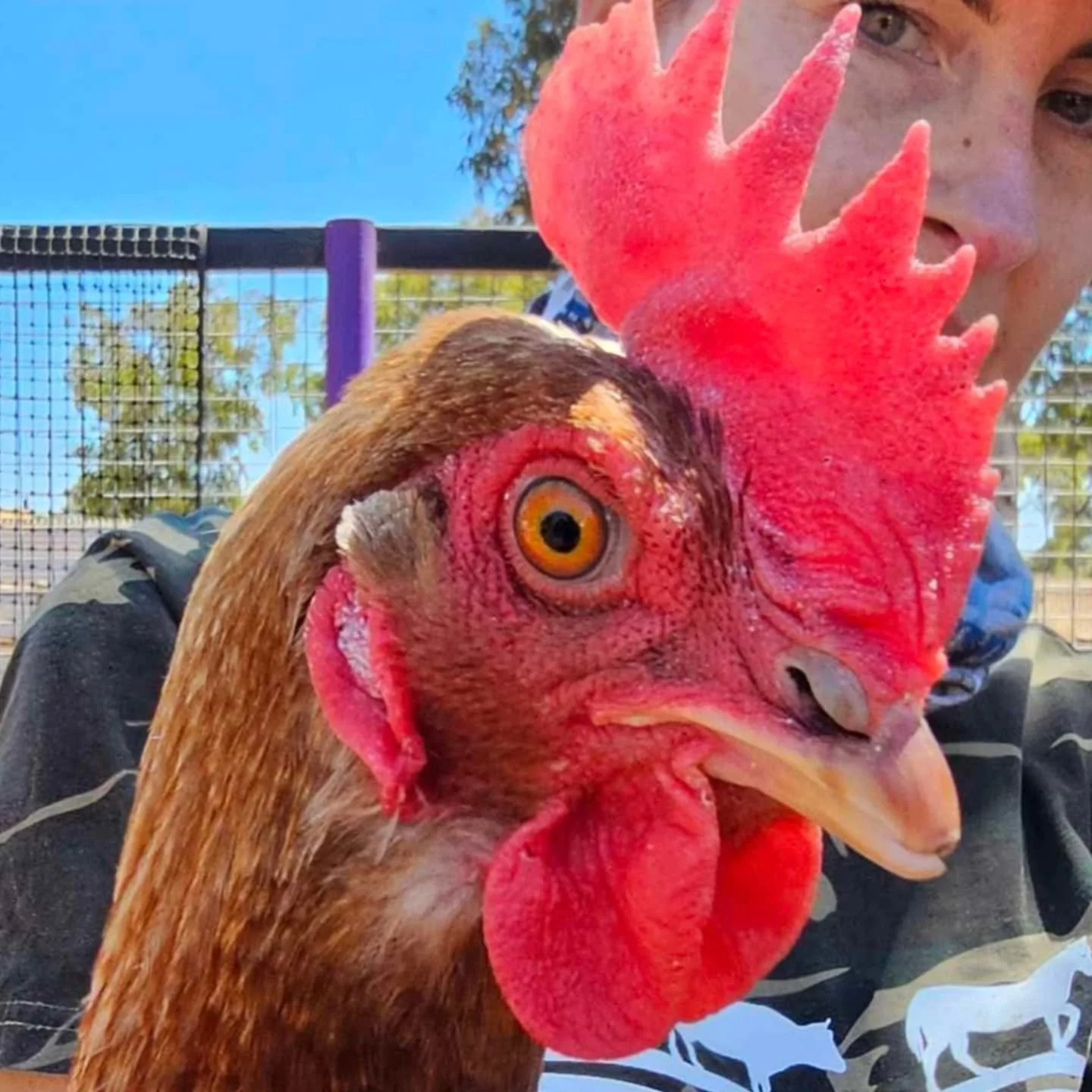 Confidence and comedic value will get you far in life. The ability to showcase natural talent with flair and unabashed joviality belongs to only the few. But, to those few it is effortless, it comes with  vivid and true character. No trying, no falsi