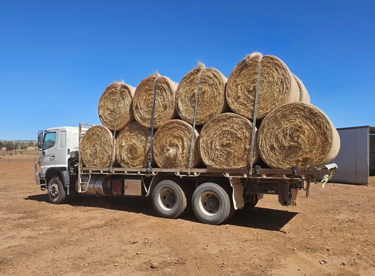 Please allow us to send out a huge heartfelt thank you, today!

We thank the wonderful Norma for her donation of 18 large round bales of hay! This is made even more special when you consider that this isn't a one off. Norna has stuck by Furever Farm 