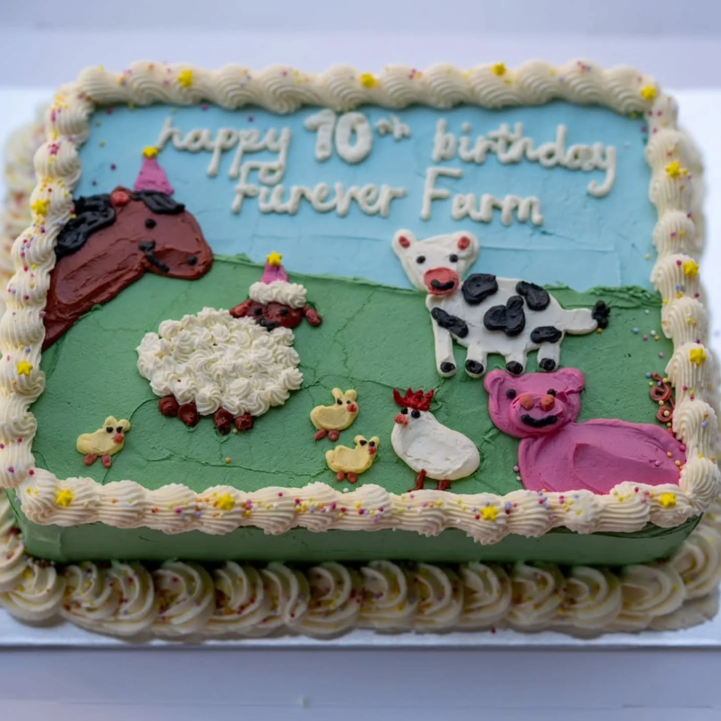 A week ago today Furever Farm held a little get together to celebrate 2026 as being the year of a decade.

10 years ago a sanctuary was born with the determined focus on saving as many animals as possible whilst embracing and promoting a vegan lifest