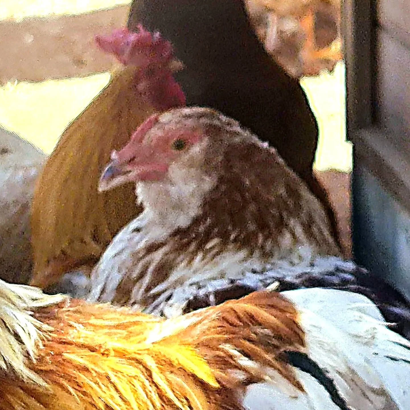 A lord transcends time. Well, some do! 

A Lord, someone with high authority, power, or dominion. Usually holding a formal title of nobility, is historically a master or ruler. Of course, the title in religious sense, is reserved for the "God&qu