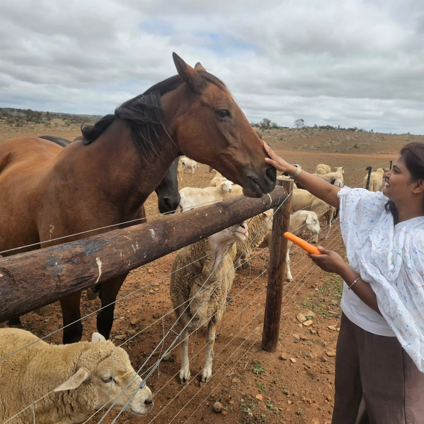 Monday March 9, Morphettkill Racecource.

Its insane, isn't it? That we are given a state public holiday to supposedly celebrate the abuse of beautiful horses.

Such grand, divine species. Intelligent, social and sensitive, yet another disgusting ind