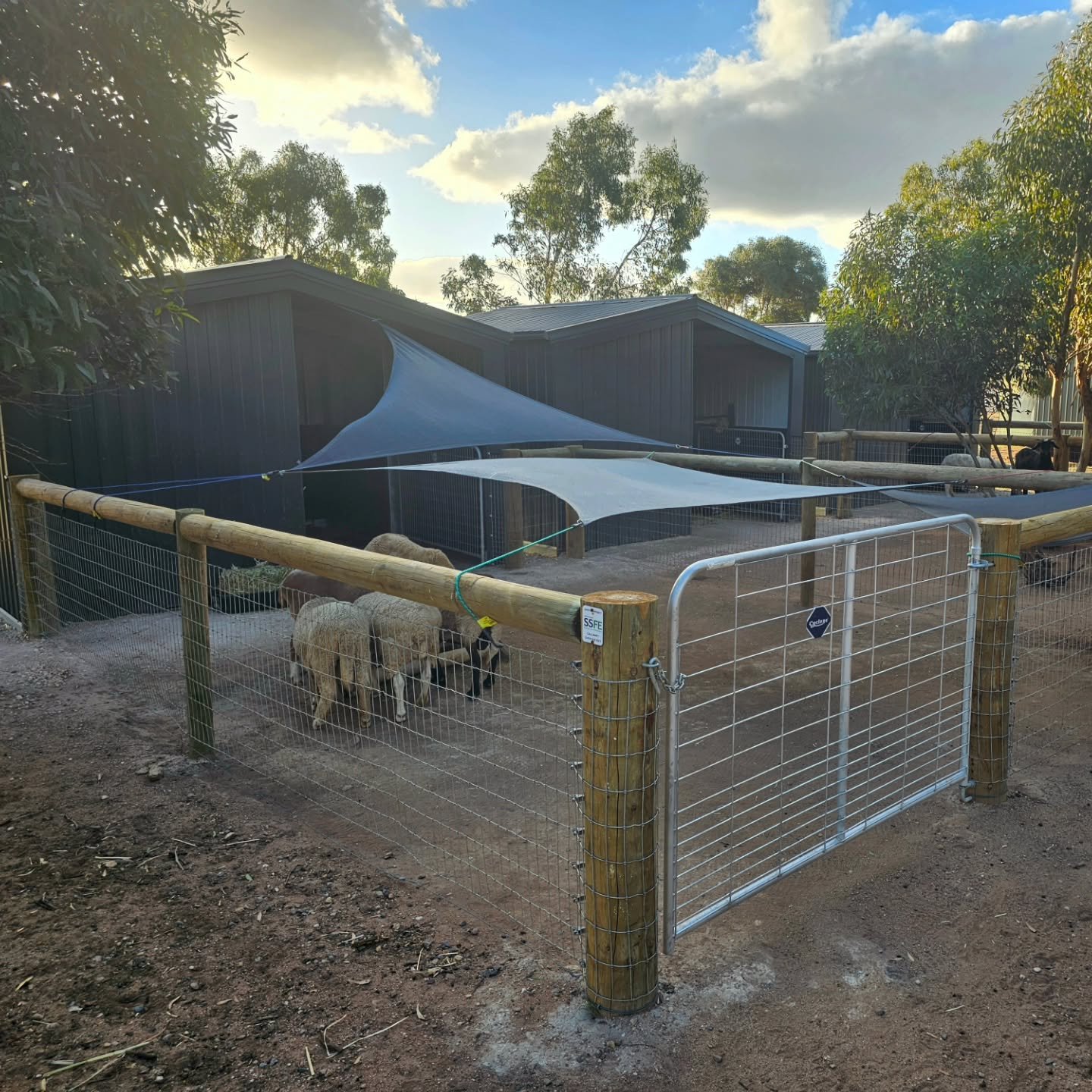 Some of you have seen them. Others suspected them. The animals are using them!

Everything from blind and special needs animals, elderly animals, or just animals requiring their weight monitored. They have all become next door neighbours in their own