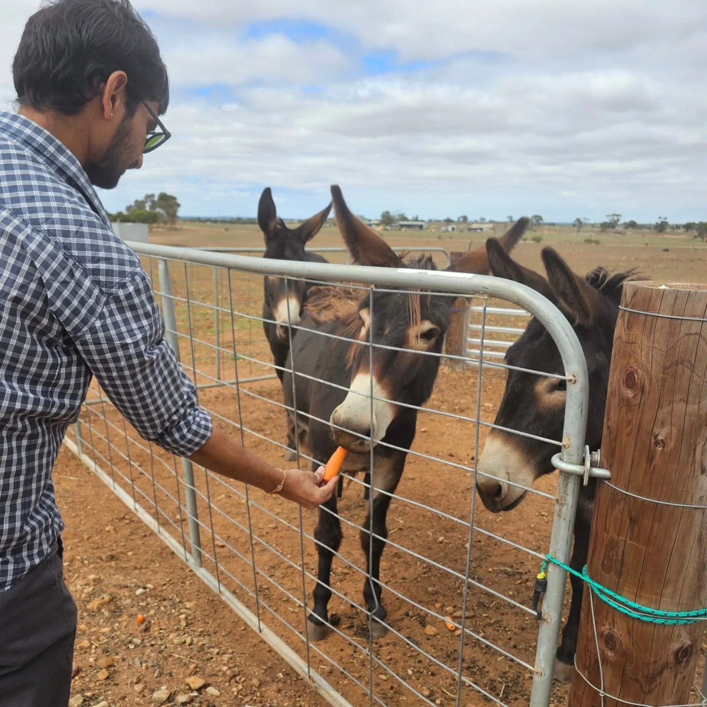 Another month, another visit from Jay and his family of Lord of the Fries!

This wonderful family come by the sanctuary monthly to give back to the animals. Always arriving with a boot full of fresh tasty fruit n vegetables for the bubbas, the round 