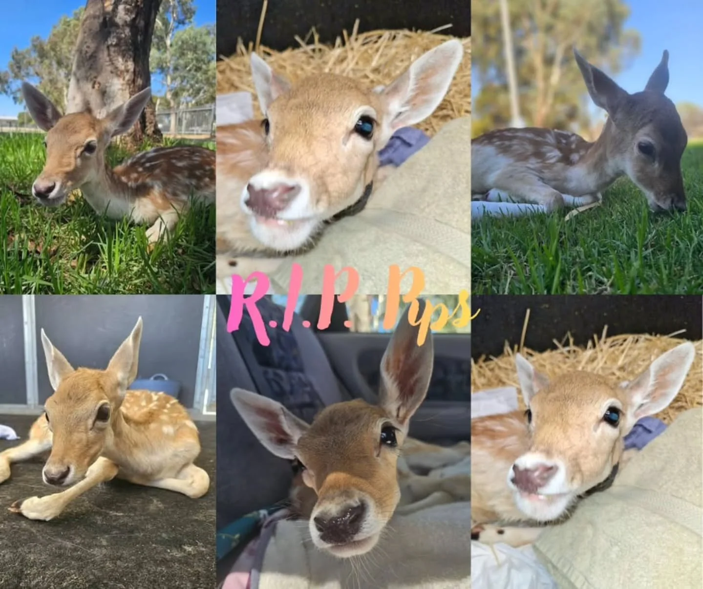 The trouble with life is that time flies!

There are many moments within that we wish time would stand still. But, it keeps going and going, ticking almost like a time bomb. We seek the pleasantry of time for many reasons. To finish what we start on 