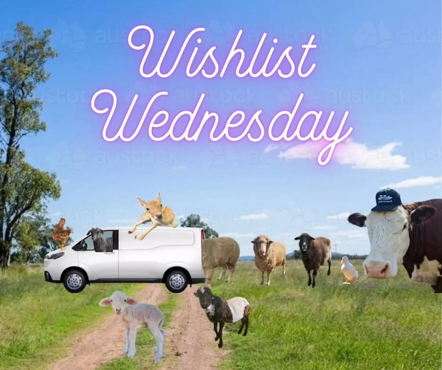 WISHLIST WEDNESDAY 🙏

Wonderful followers, supporters and online family, we still need your help. 💚

The situation at the sanctuary is dire. Running costs, constant bills, upcoming expenses, vital animal aids have crippled the fund account of Furev