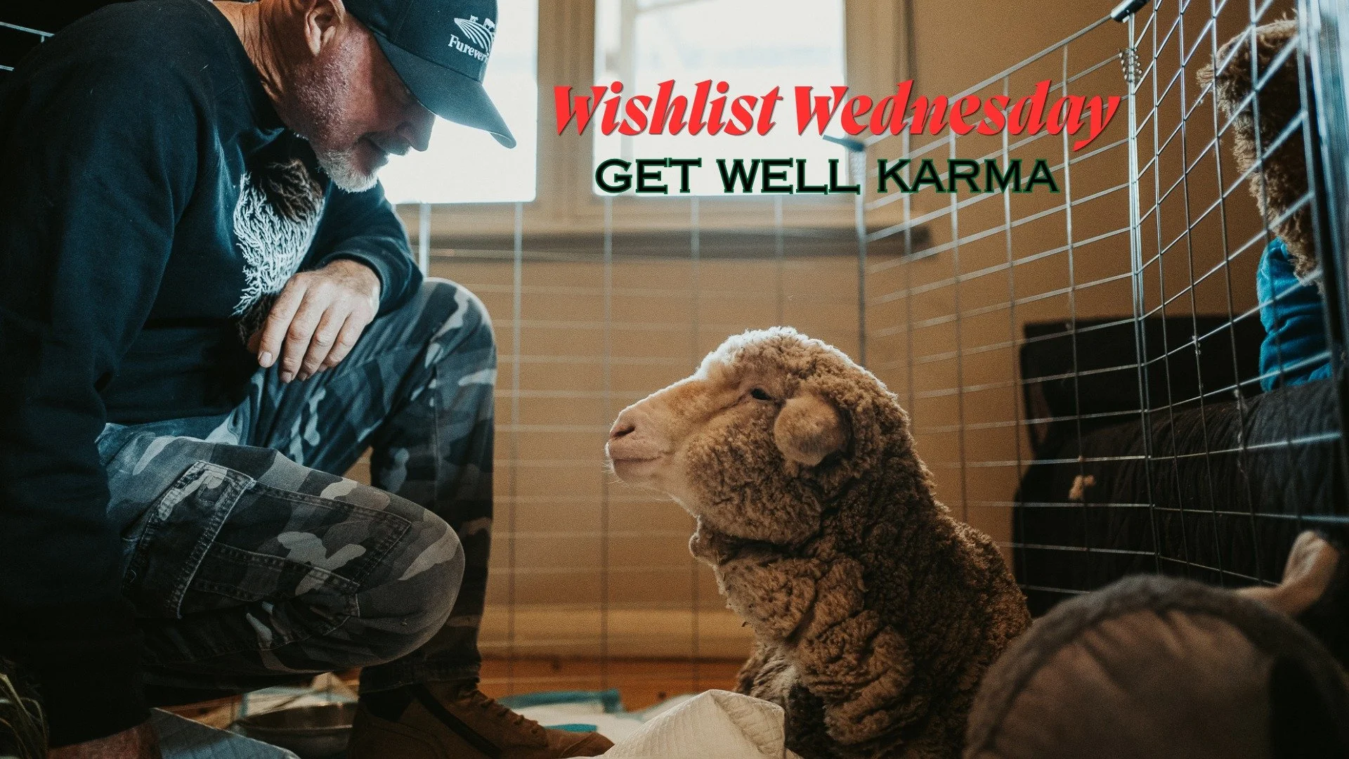 WISHLIST WEDNESDAY sees us ignoring our situation, our plight, our needs, all in favour of one impeccable wish.

All we want this Wednesday (and beyond) is the good health and recovery of one special boy. Despite things being dire, all of our efforts