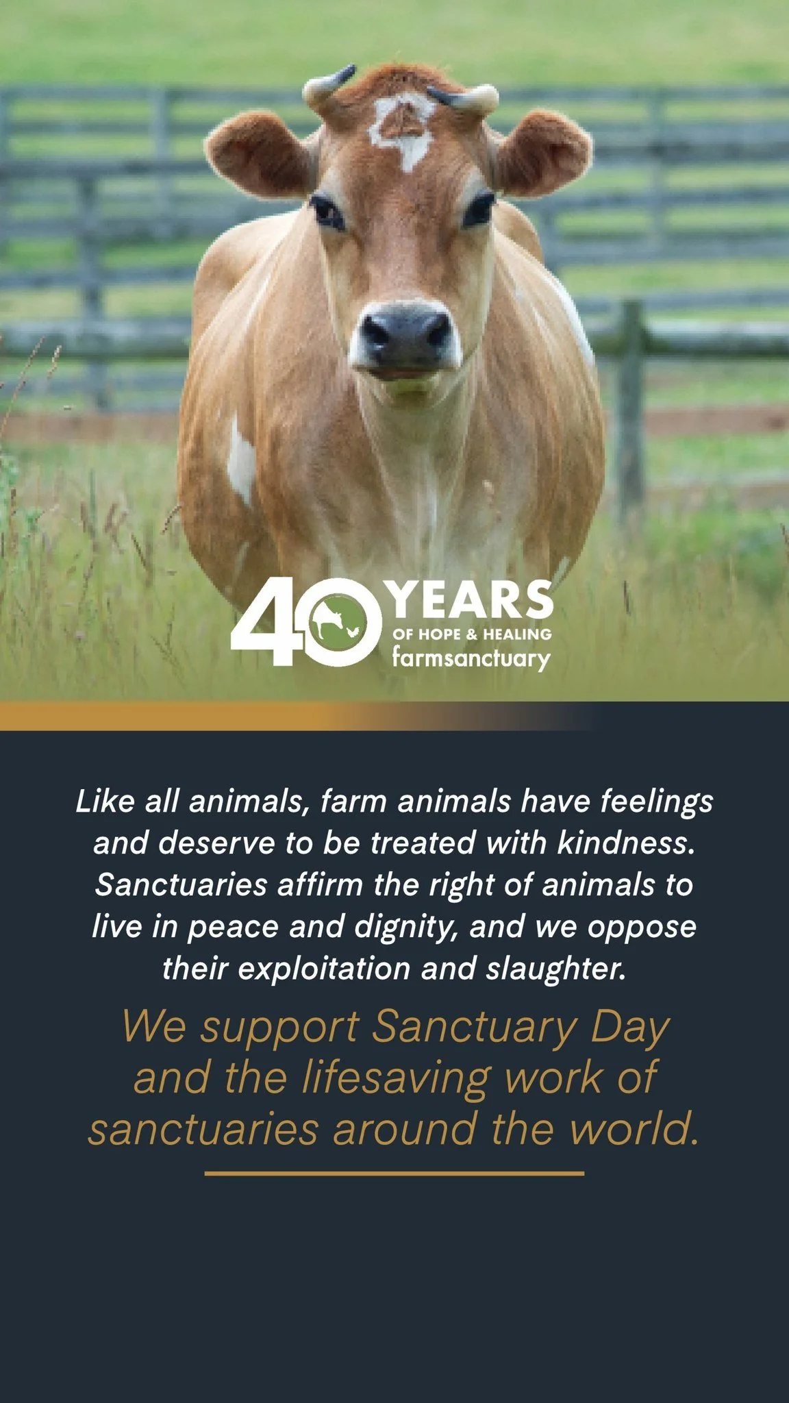 Today Furever Farm is listed worldwide as supporting Sanctuary Day.

Our sanctuary works in conjunction with sanctuaries around the world to uphold the ethics, morals and affirmation of farmed animals. 

Kindness, compassion, peace, dignity and right