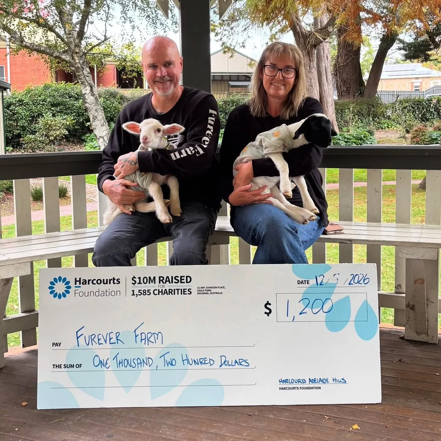 Last week the fabulous team from Harcourts Adelaide Hills took part in the Brooks marathon festival, "Kms For A Cause".

When searching for a charity to help, Annabelle from Harcourts relayed "the name Furever Farm kept on popping up.&