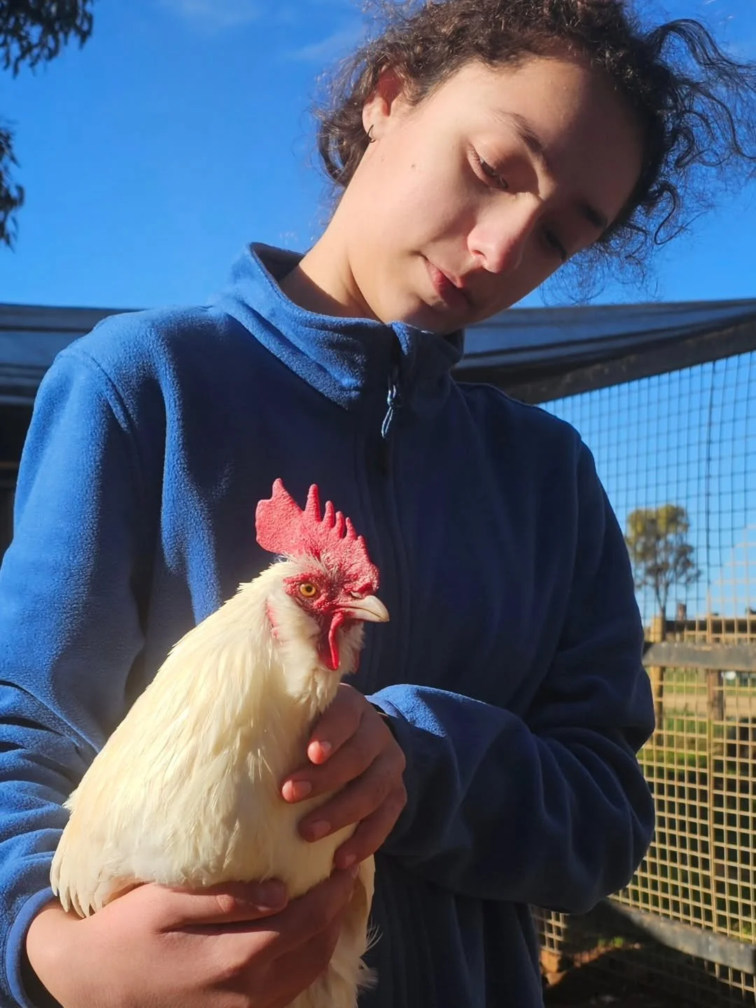 Are you ready for Kate's story? 

Kate is a wonderful young girl. Intelligent, loves animaks and....vegan!! Kate's loves Furever Farm. Coming to the sanctuary is a highlight of Kate's week! Here, she helps with chores and, naturally, visits the anima