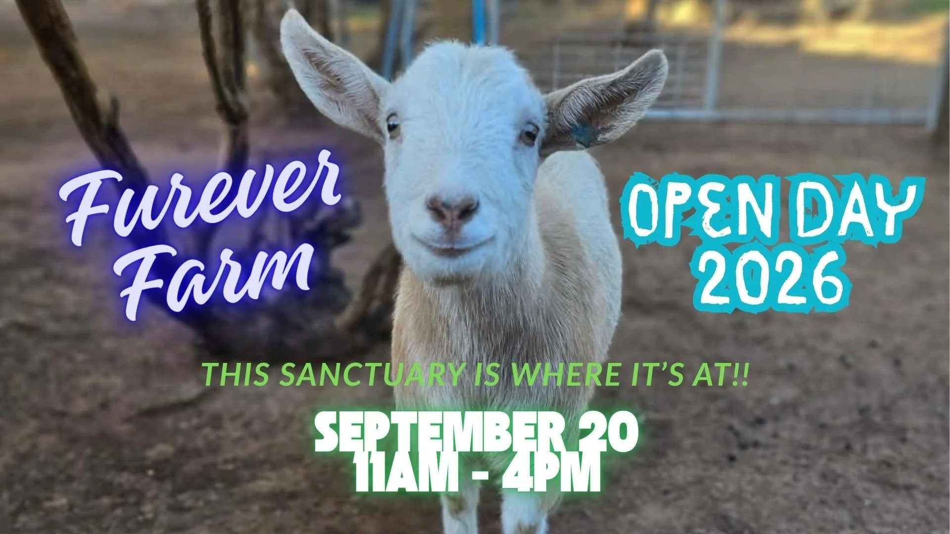 Furever Farm Open Day 2026