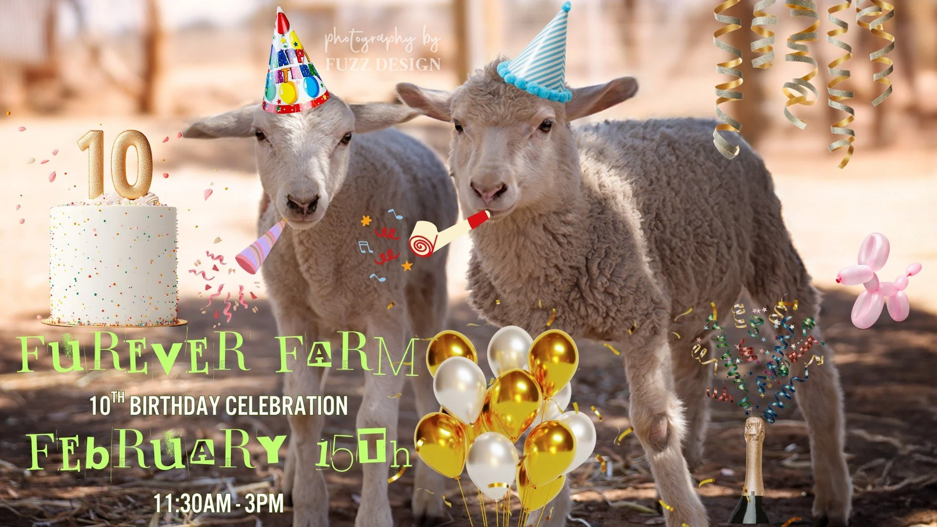 Furever Farm 10th Birthday Celebration