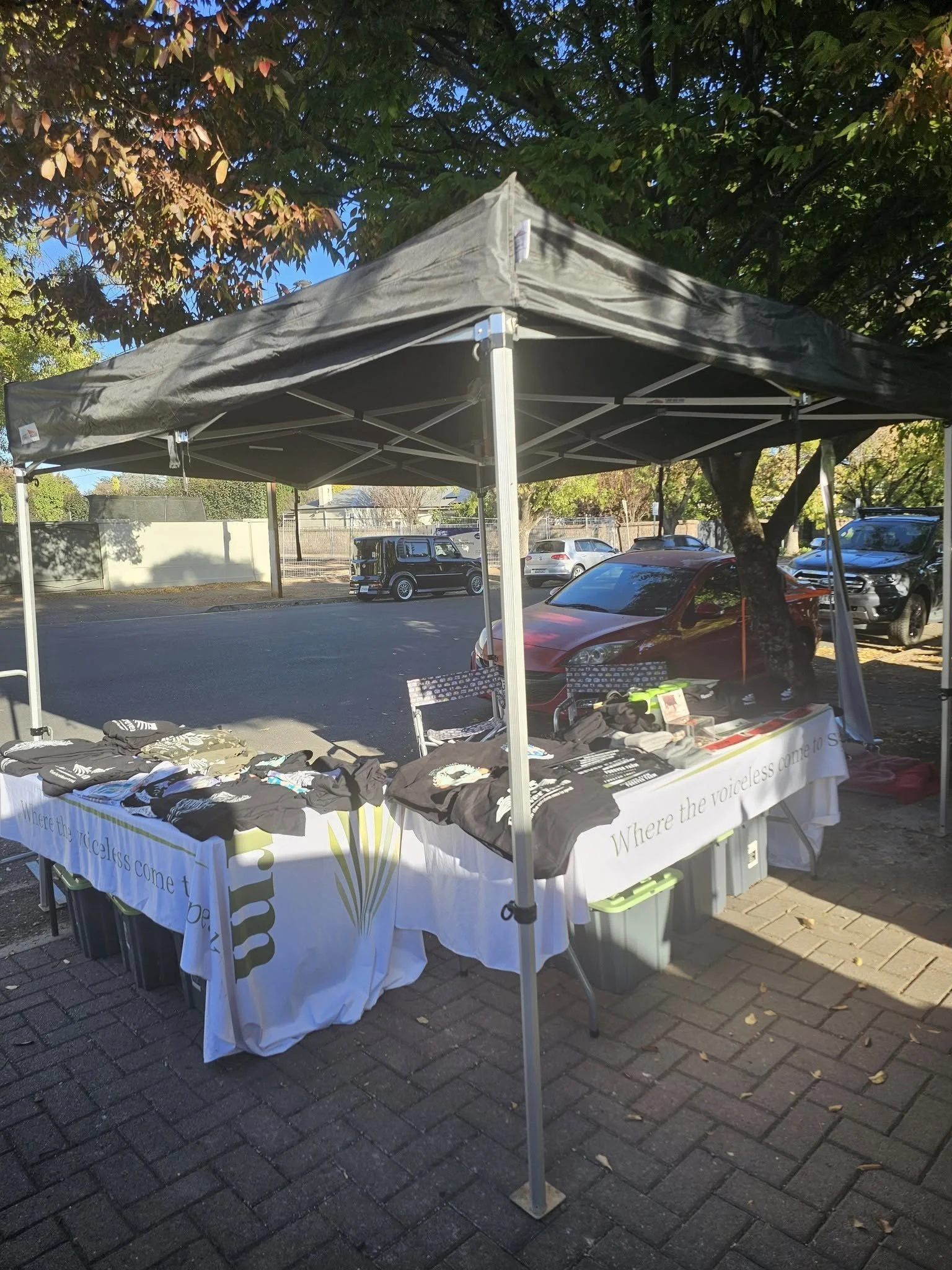 The Gator Club 4th Birthday Market