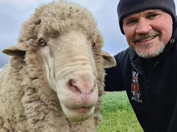 BB Rescue sheep Furever Farm Animal Sanctuary